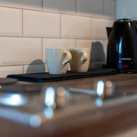 Comfy In Old Town דירה טימישוארה