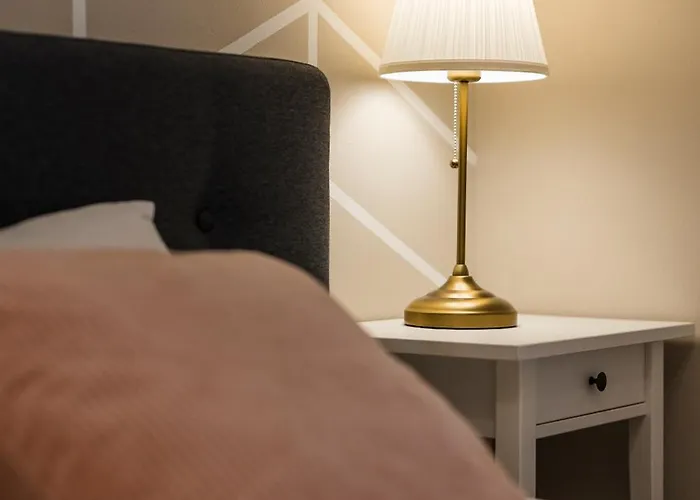 Comfy In Old Town * טימישוארה