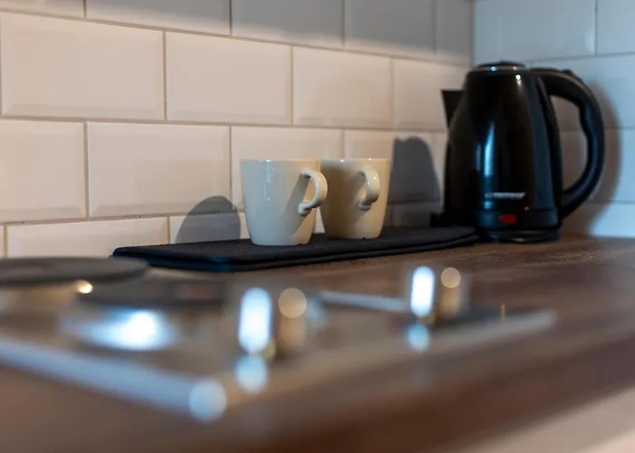 Comfy In Old Town דירה טימישוארה