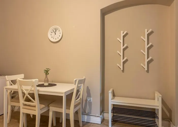 Comfy In Old Town Timisoara