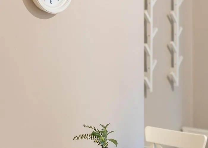 Comfy In Old Town * Timisoara