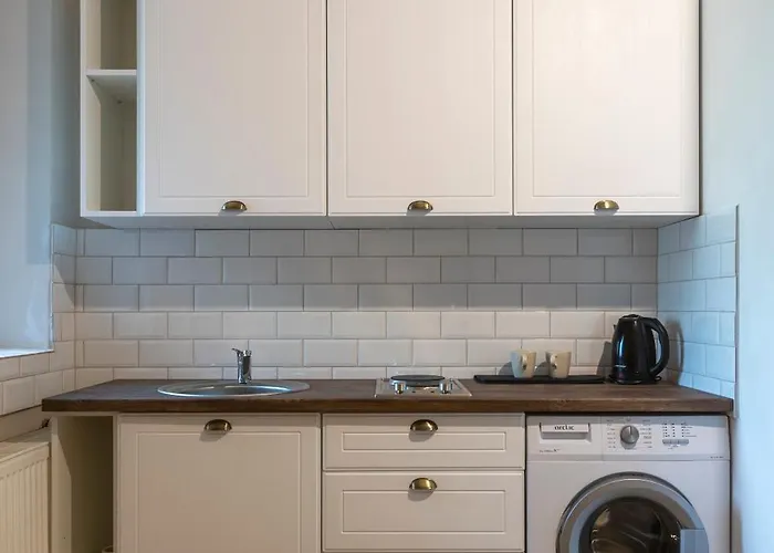 Comfy In Old Town טימישוארה