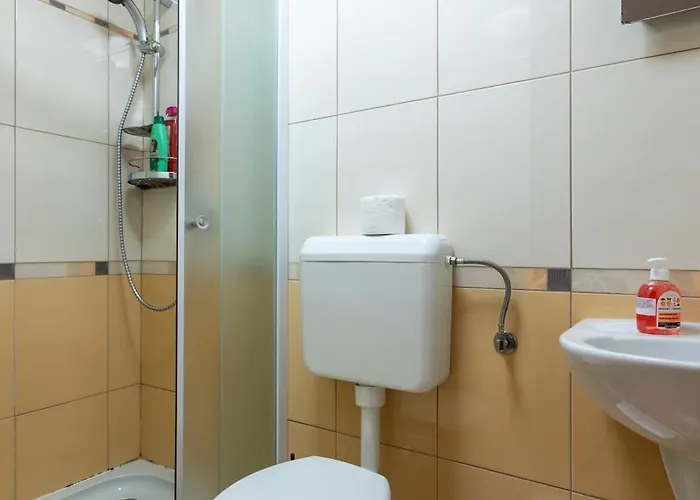 Comfy In Old Town * טימישוארה