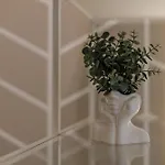 Apartment Comfy In Old Town Timisoara