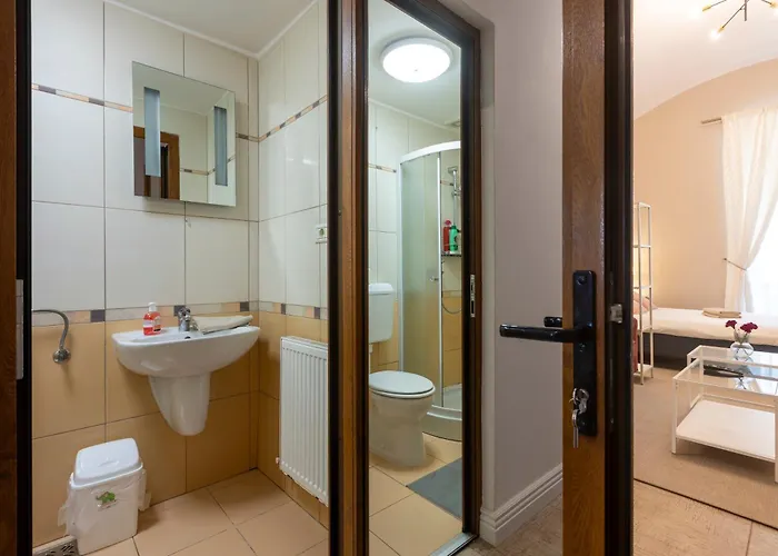 Comfy In Old Town * Temešvár